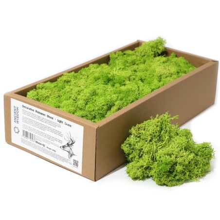 Lichtgroen Rendiermos voor decoratie - 500gr.