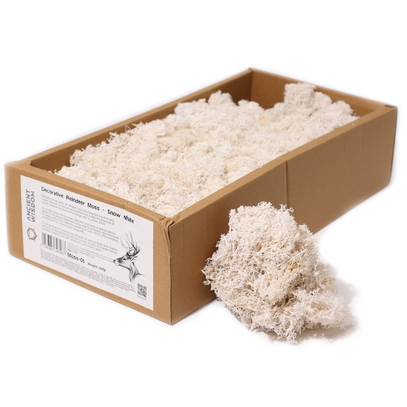 Musgo de Reno Blanco para decoración - 500gr.-Reindeer Moss for Decoration-HOSTENATURA