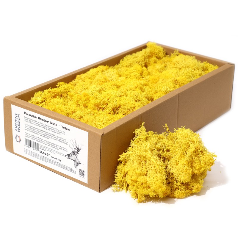 Musgo de Reno Amarillo para decoración - 500gr.-Reindeer Moss for Decoration-HOSTENATURA