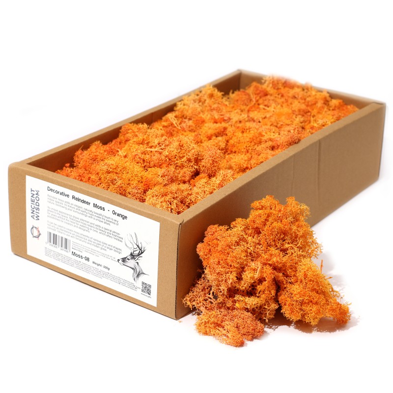 Orange Reindeer Moss for decoration - 500gr.-Reindeer Moss for Decoration-HOSTENATURA