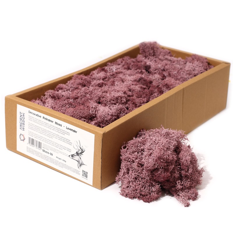 Purple Reindeer Moss for decoration - 500gr.-Reindeer Moss for Decoration-HOSTENATURA