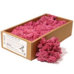 Rosa Rentiermoos zur Dekoration - 500gr.