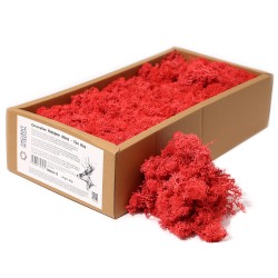 Red Reindeer Moss for decoration - 500gr.