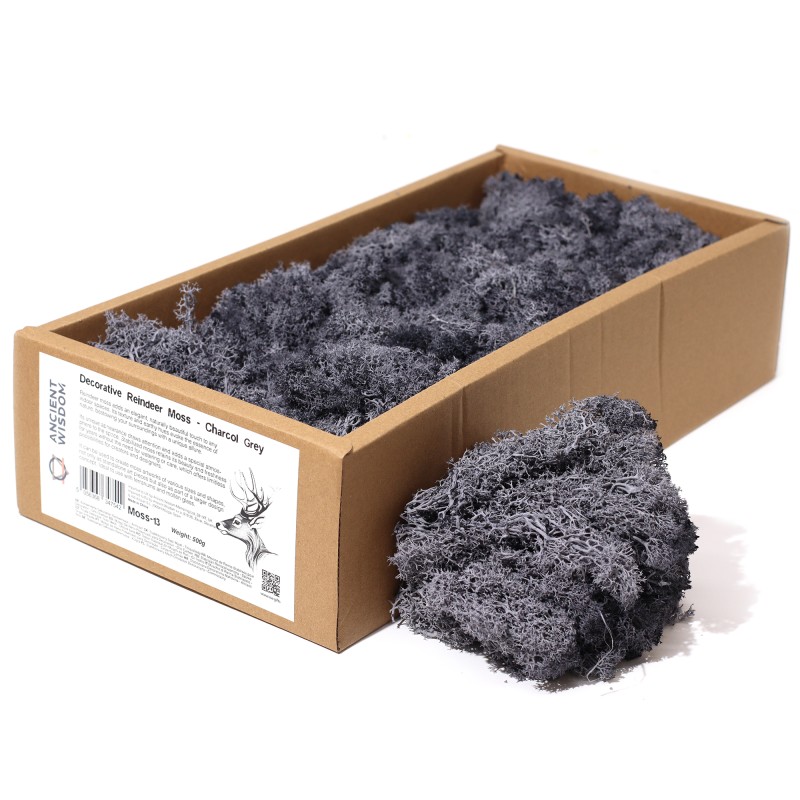 Gray Reindeer Moss for decoration - 500gr.-Reindeer Moss for Decoration-HOSTENATURA