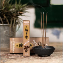 Inciens Japonès Morning Star Frankincense Olibano Iglesia Nippon Kodo ( 20g) 50 barretes + incensari