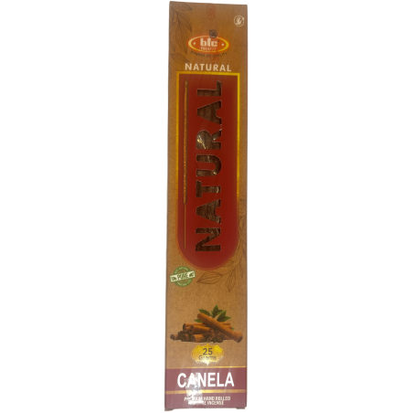 BIC Natural Organic Cinnamon Incense - 25 gram box