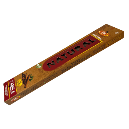 BIC Natural Organic Cinnamon Incense - 25 gram box
