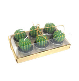 Juego de 6 Tealights Cactus Barril en Caja de Regalo - 1