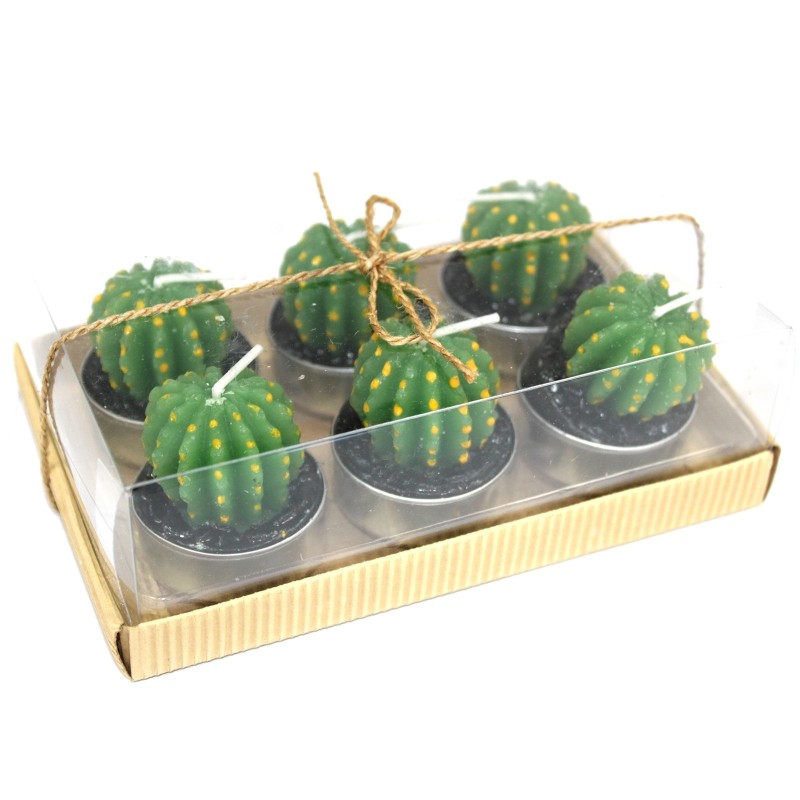 Joc de 6 Tealights Cactus Barril a Caixa de Regal-ESPELMES FORMA CACTUS-HOSTENATURA