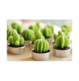 Juego de 6 Tealights Cactus Barril en Caja de Regalo - 2