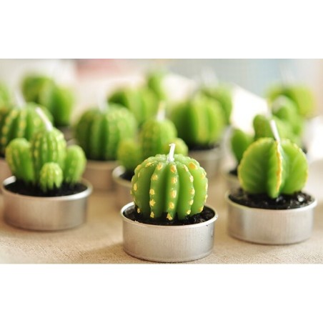 Juego de 6 Tealights Cactus Barril en Caja de Regalo  - 2
