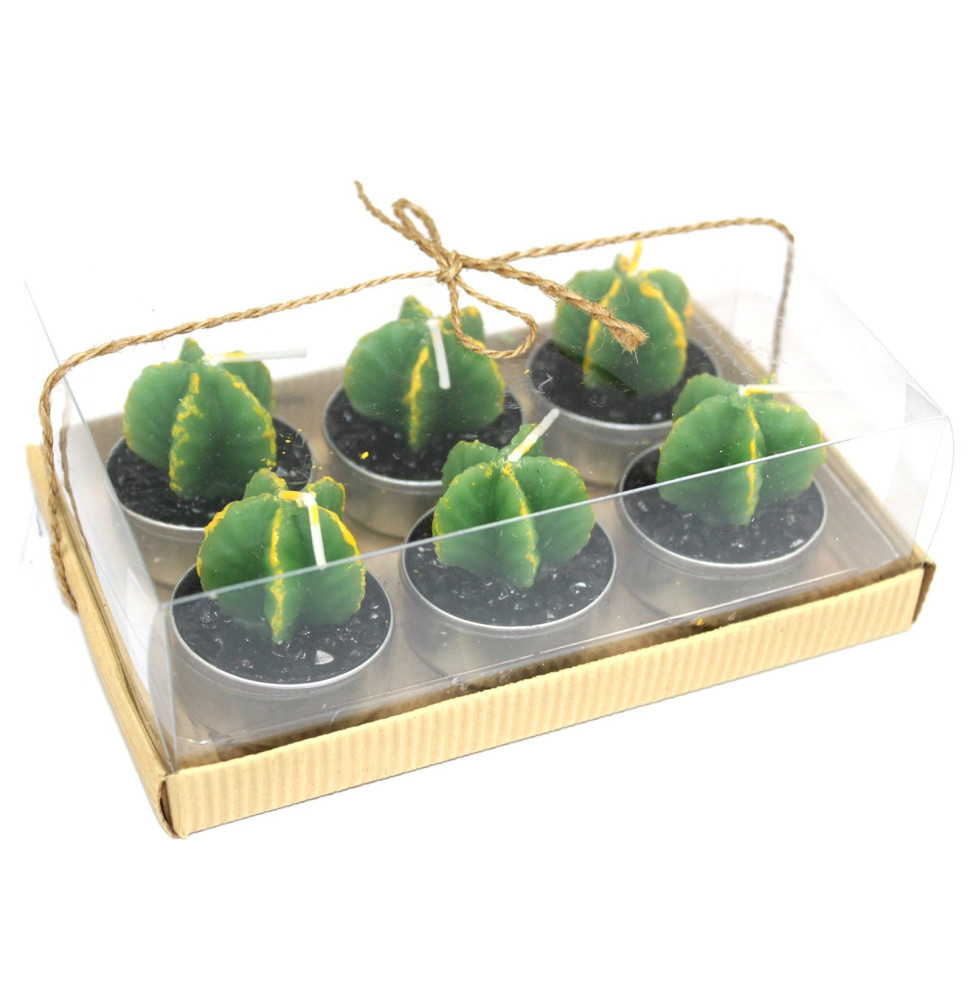 Juego de 6 Monks Cactus Tealights en caja de regalo