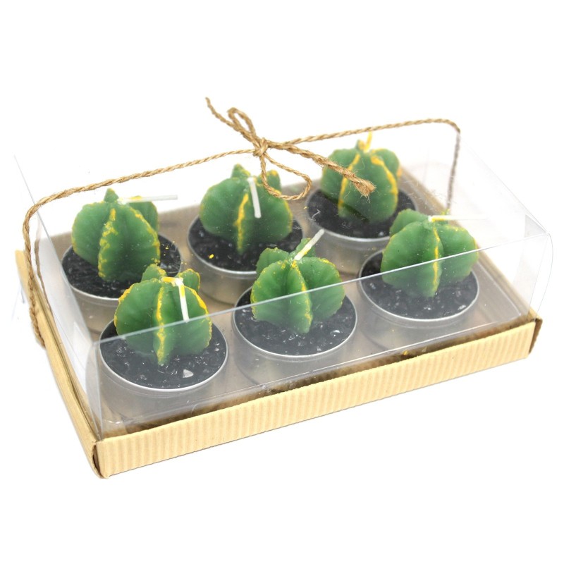 Monks Cactus Tealights 6 sorta opari kutxan-KACTUS FORMAKO KANDELAK-HOSTENATURA