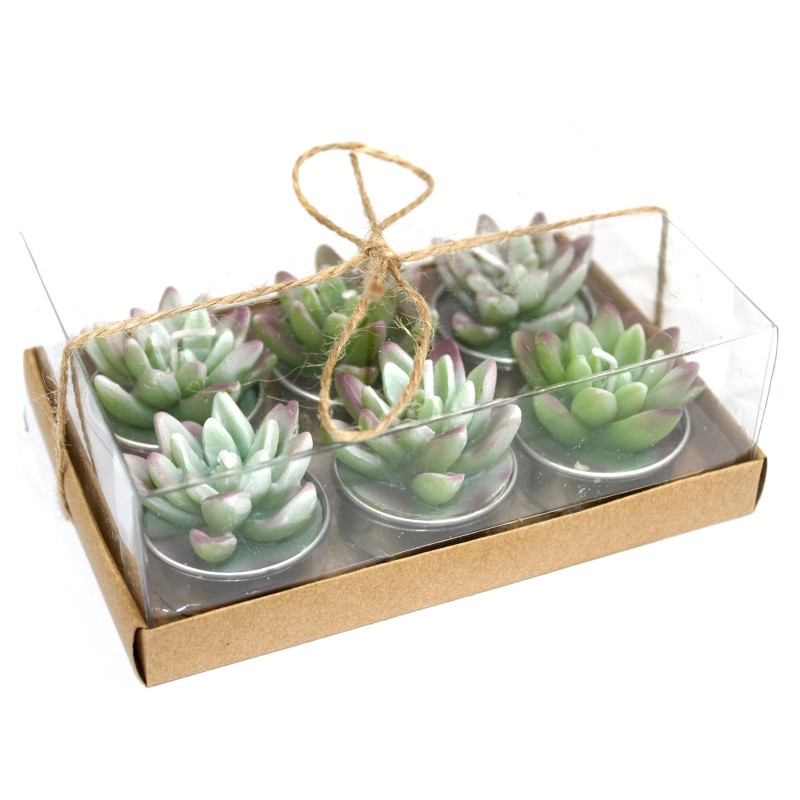 6 Cactus Agave Tealight sorta opari kutxan-KACTUS FORMAKO KANDELAK-HOSTENATURA