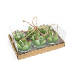 Juego de 6 Tealights de Cactus Suculentas en Caja de Regalo - 1