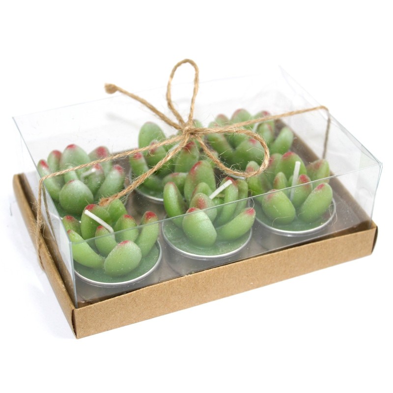 Joc de 6 Tealights de Cactus Suculentes a Caixa de Regal-ESPELMES FORMA CACTUS-HOSTENATURA