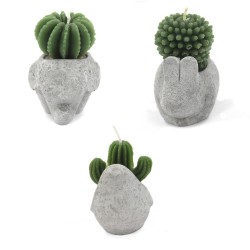 Candele di cactus - Mostra di vasi per piante a forma di animali (assortiti) - 1