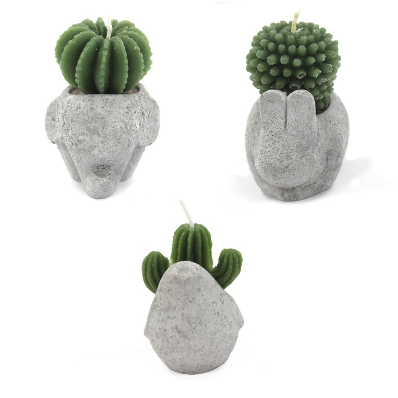 Bougies Cactus - Présentoir de pot d’animaux (asst)-BOUGIES EN FORME DE CACTUS-HOSTENATURA