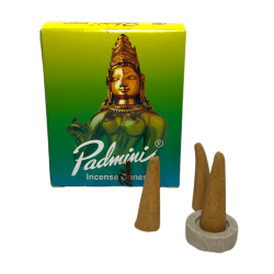 Cons d'Incienso PADMINI Caixa Verda Incense Cones - Caixeta de 12 cons d'incís