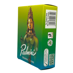 Cons d'Incienso PADMINI Caixa Verda Incense Cones - Caixeta de 12 cons d'incís