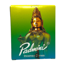 Cons d'Incienso PADMINI Caixa Verda Incense Cones - Caixeta de 12 cons d'incís