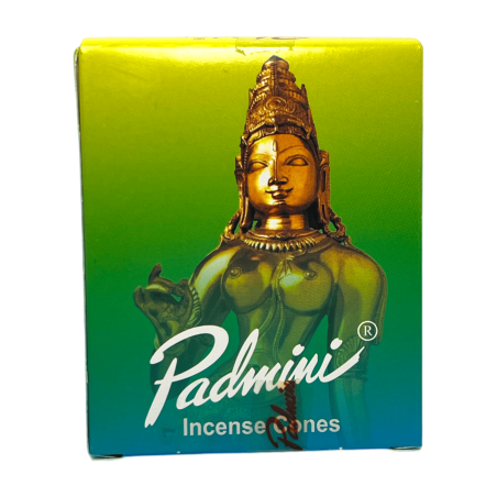 Cones de Incenso PADMINI Green Box Cones de Incenso - Caixa de 12 cones de incenso