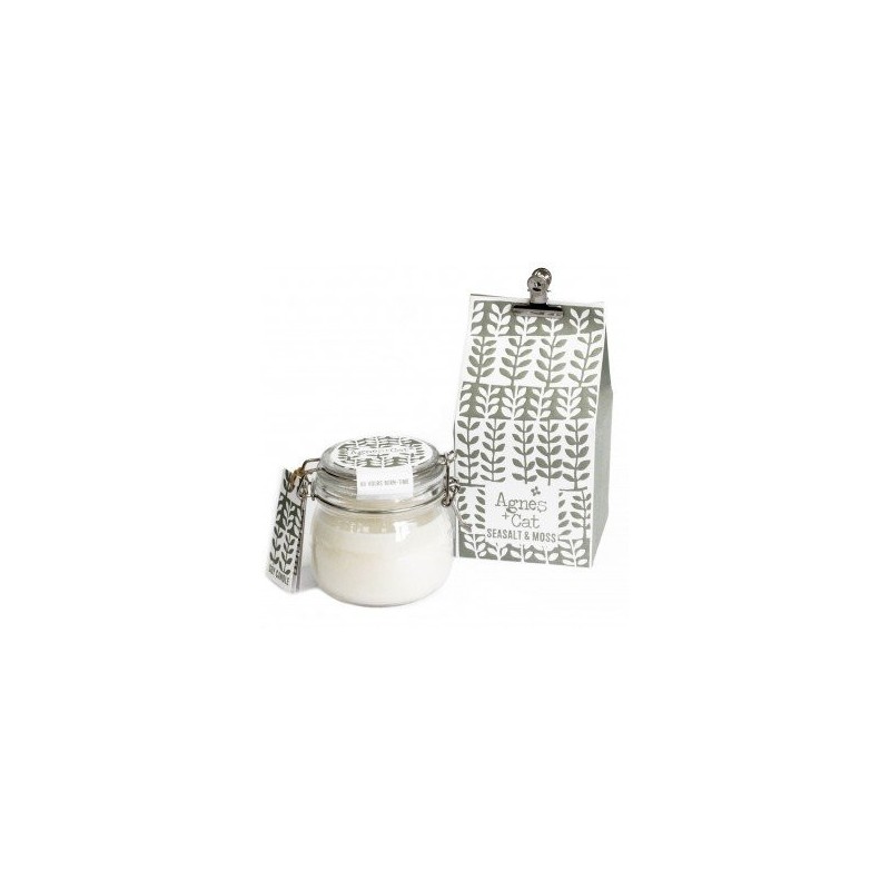 Glass Jar Candles - Seasalt and Moss-GLASS JAR CANDLES-HOSTENATURA