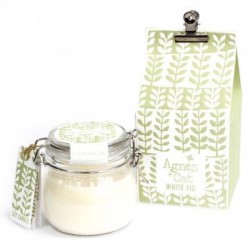 Candles in Glass Jar - White Fig