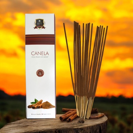 Tămâie cu scorțișoară Alaukik 30gr. - Tămâie Masala
