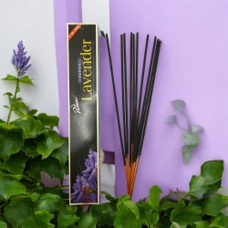 Padmini Super Lavender Incense - Pack of 10 bars