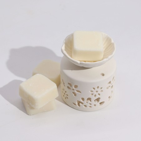 Set de Regalo Agnes & Cat Fragancia Marroquí - Quemador de Aceite, Ceras Aromáticas y Vela de Té
