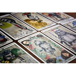 Tarot Cats de Ana Juan - Fournier - 78 Cartas a todo color y folleto de instrucciones