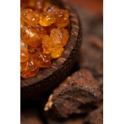 Myrrhe Naturelle et Encens Sainte Mère Paix Intérieur - Sahumerio 8 bâtonnets épais Bio