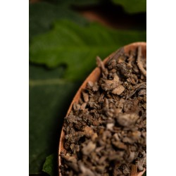 Encens Naturel Sauge Blanche Sainte Mère Connection - Sahumerio 8 bâtonnets épais Bio