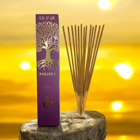 Encens Arbre de la Kabbale BANJARA Arbre de Vie Botanique - Boîte de 15gr. d’Encens Masala