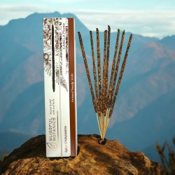 Blissful Botanics TULASI Artisan Natural Cinnamon Organic Incense - Spicy Cinnamon - 8 ekologiska rökelsepinnar
