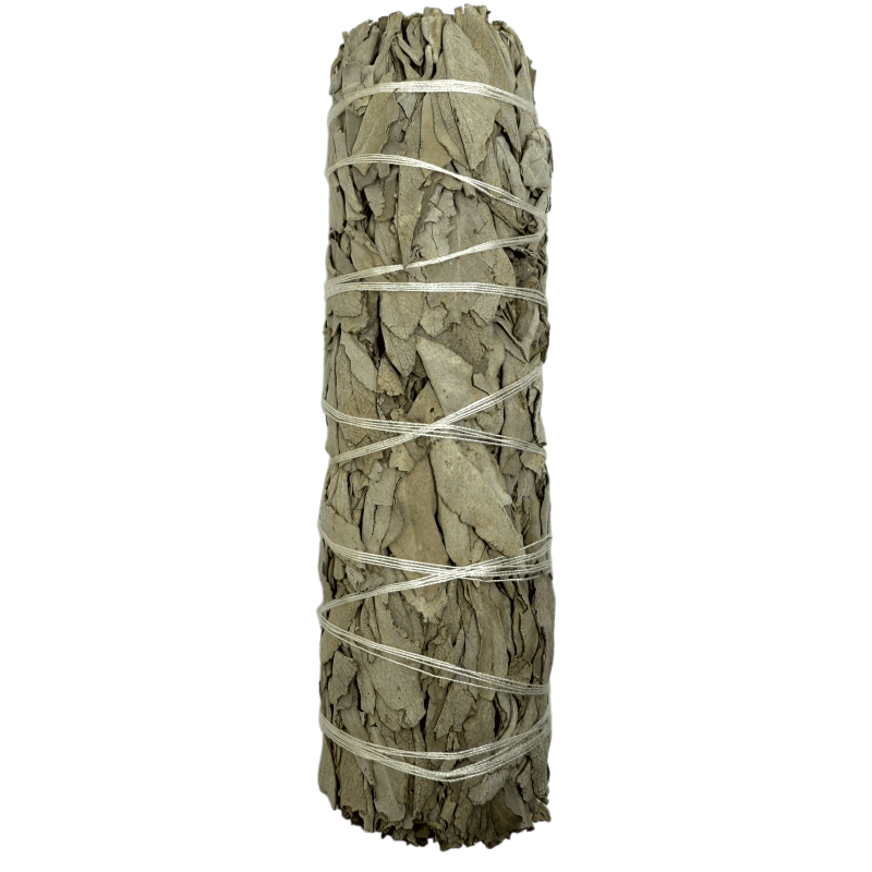 100% Originele California White Sage XL Biologisch & Duurzaam Bundel | Zuivering, Energie Reiniging & Harmonie | 15cm-GEBONDEN-HOSTENATURA