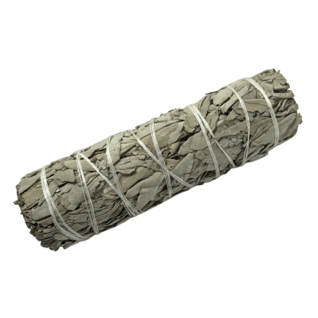 100 % original California White Sage XL ekologiskt och hållbart paket | Rening, Energirening och Harmoni | 15cm