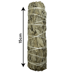 حزمة طبيعية أصلية من California White Sage XL طبيعية ومستدامة | التنقية والتطهير والطاقة والانسجام | 15 سم