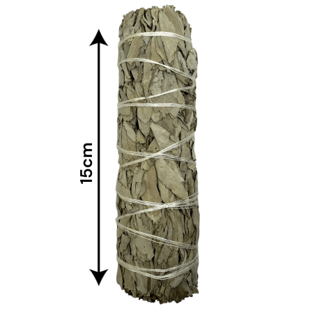 حزمة طبيعية أصلية من California White Sage XL طبيعية ومستدامة | التنقية والتطهير والطاقة والانسجام | 15 سم