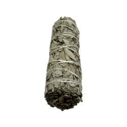 حزمة طبيعية أصلية من California White Sage XL طبيعية ومستدامة | التنقية والتطهير والطاقة والانسجام | 15 سم