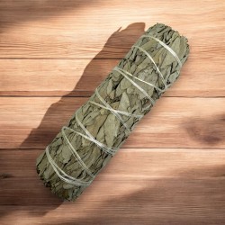 حزمة طبيعية أصلية من California White Sage XL طبيعية ومستدامة | التنقية والتطهير والطاقة والانسجام | 15 سم