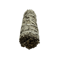 حزمة طبيعية أصلية من California White Sage XL طبيعية ومستدامة | التنقية والتطهير والطاقة والانسجام | 15 سم