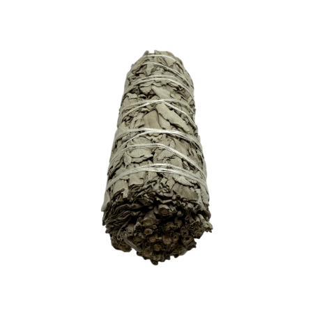 حزمة طبيعية أصلية من California White Sage XL طبيعية ومستدامة | التنقية والتطهير والطاقة والانسجام | 15 سم