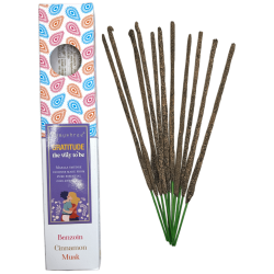 Gratitude Organic Incense Blissful Blends Vijayshree Benzoë, Kaneel en Muskus - 25gr Doos.