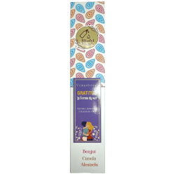 Gratitude Organic Incense Blissful Blends Vijayshree Benzoë, Kaneel en Muskus - 25gr Doos.