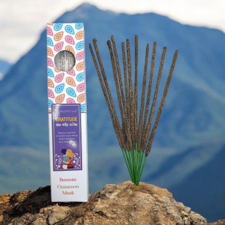 Gratitudine Incenso Biologico Blissful Blends Vijayshree Benzoino, Cannella e Muschio - Scatola da 25gr.