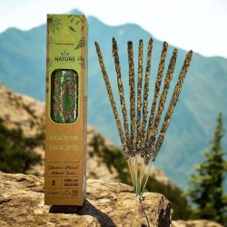 بخور عضوي AROMA الأوكالبتوس الطبيعية - 8 أعواد، مدة كل منها ساعة واحدة