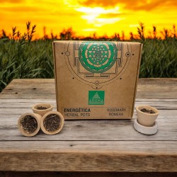 Cupe din rășină cu rozmarin, ghivece cu plante aromatice, parfumuri energice AROMA - 4 cupe și suport pentru arzător - Claritate