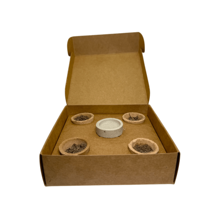 Pots à herbes en résine de sauge blanche AROMA énergisants - 4 tasses et support pour brûleur - Purification et protection